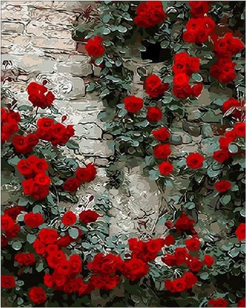 Роза На Стене Фото
