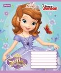 Тетрадь А5/12 косая SOFIA-15
