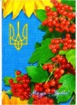 Блокнот в клетку "Мой дом - Украина", 160 листов