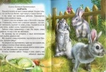 Книжка  Рассказы о животных (р)