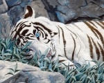 Картина по номерам "Белый тигр" (без коробки)