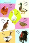Книжка обучающая: Учим английский Первые слова "Животные 3+"