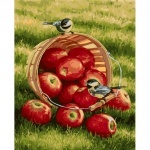 Картины по номерам - Хрустящие яблочки (в коробке)