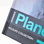 Блокнот "Animals planet"
