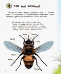 Енциклопедія дошкільника "Комахи" (у)