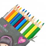 Набор двухцветных карандашей 12/24 цветов "Santoro Little Song"