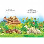 Книжка Що росте на городі? (у)
