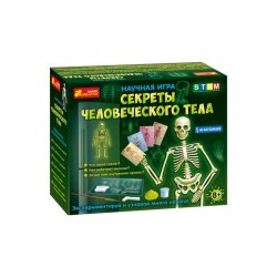 Анатомия "Скелет человека"