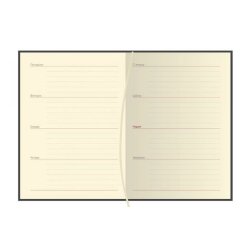 Деловой дневник в233- FE- 0650 (учителя) = в линию, синий