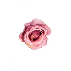 Роза для декора 8503-002 5см