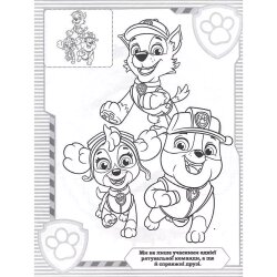 Раскраска с наклейками Paw Patrol голубая