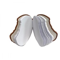 Блокнот чистый 80л ZB12470-18 90х90мм BISCUIT ароматизаторован Soft touch